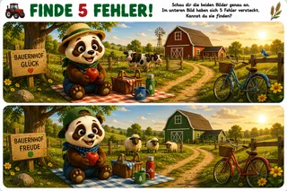 Vorschau: Fehlerbild Bauernhof